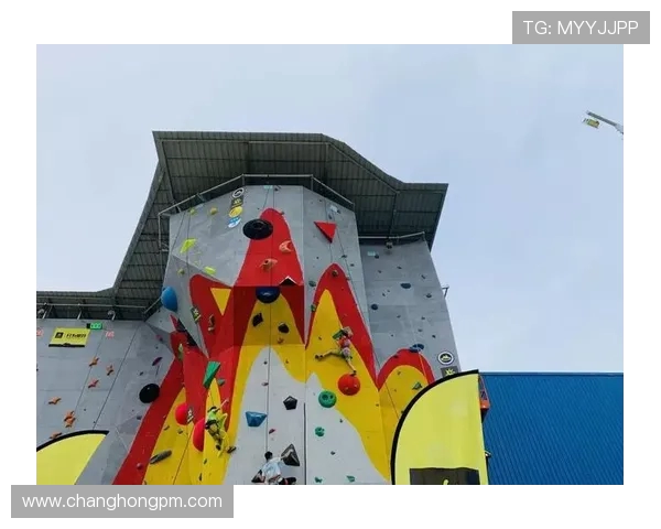 上海攀岩队进攻策略分析与失误反思探讨