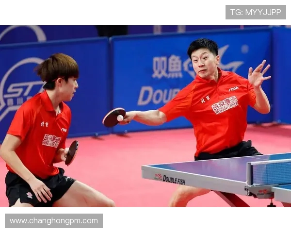 乒乓球个人能力排行榜揭晓北京乒乓球队荣登榜首展现实力与风采